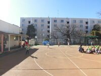 写真:たこあげをしているところ