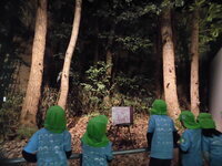 写真:ツリー展示