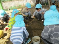 5歳児らいおん組の写真