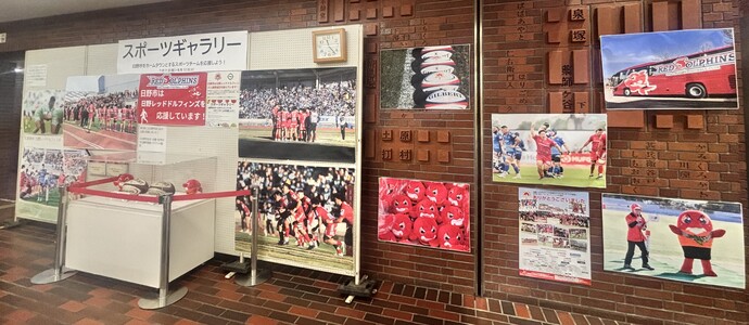 日野レッドドルフィンズ1