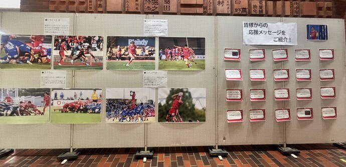 日野レッドドルフィンズ2