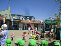 写真：こいのぼり1