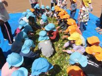 写真:土つくり11