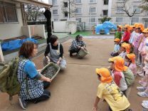 写真:土つくり15