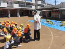 写真:土つくり2