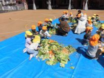 写真:土つくり4