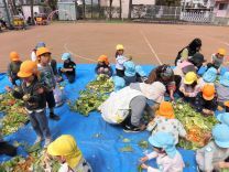 写真:土つくり5