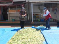 写真:土つくり9