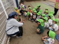 写真:3歳児の苗植え