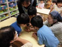 写真:みんなで観察