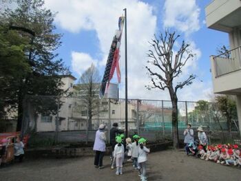 5歳児がこいのぼりをあげている様子の写真
