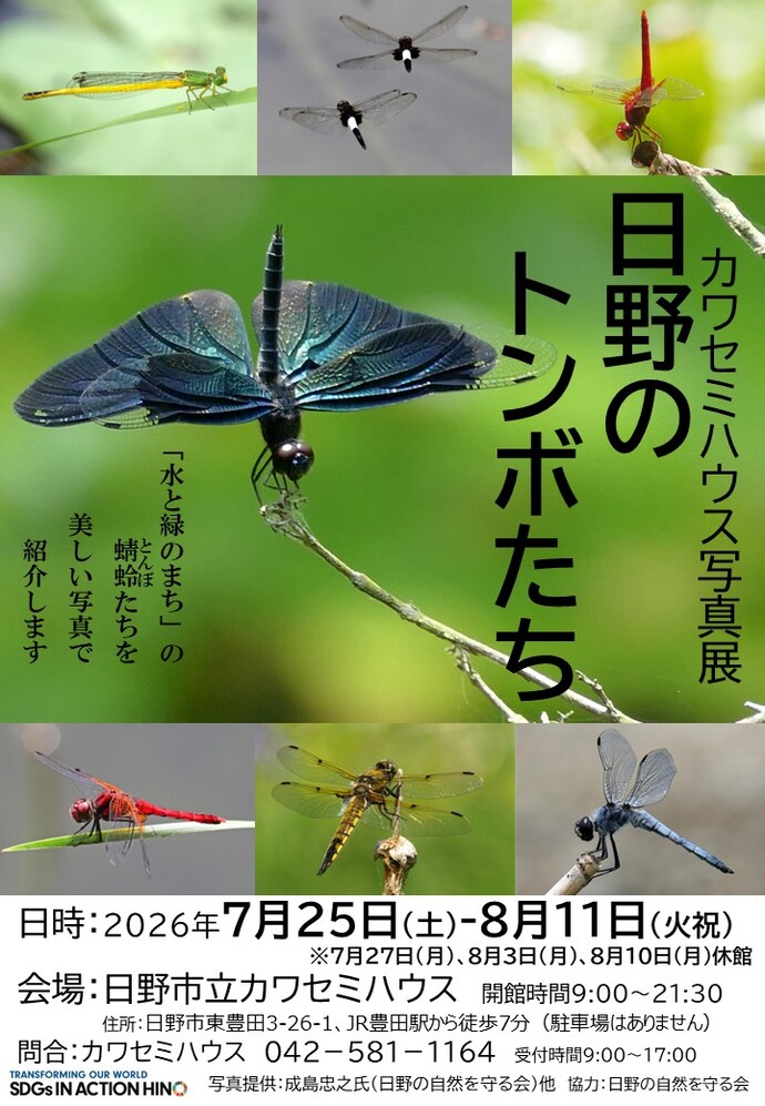 トンボ写真展のチラシ画像