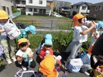 写真:お茶タイム