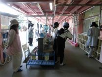 写真:3歳児保育参観1