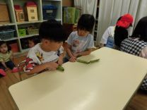 写真:そらまめさやむき12