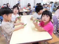 写真:そらまめさやむき2