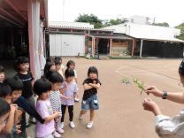 写真:ちょうちょ3