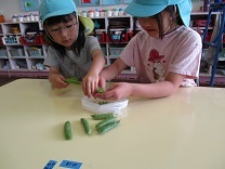 グリンピースを剥く写真