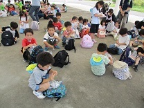 ぞう組、らいおん組公園での写真