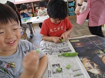 そらまめを剥く写真