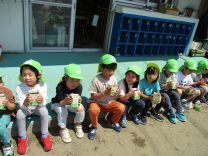 写真：いんげん豆4