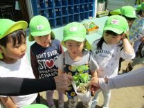 写真：夏野菜苗植え7