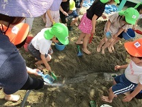 写真：どろんこ遊び2