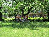 写真：3歳児遠足4