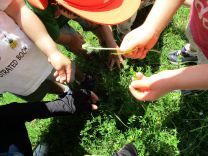 写真：3歳児遠足5