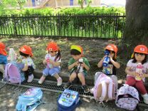 写真：3歳児遠足2