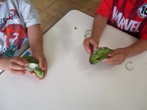 写真：そら豆のさやむき5