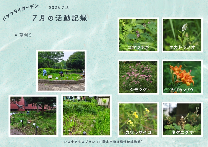 6月活動記録