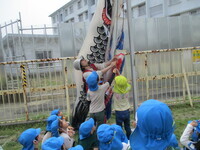 写真:子どもたちがこいのぼりをあげているところ