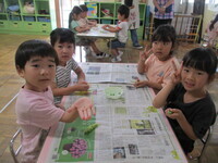 写真:そら豆のさや剥きをしている子どもたち(2)