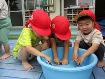 洗濯遊びの写真