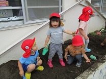 収穫体験している写真