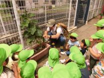 写真:野菜の収穫1