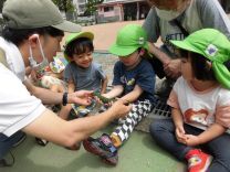 写真:野菜の収穫2