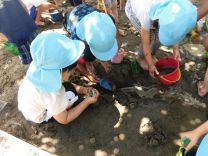 写真:泥んこあそび