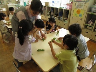 そら豆のさやむきをしている写真