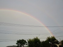 写真：虹