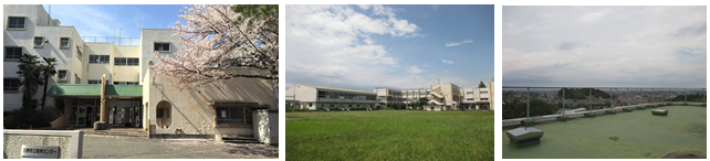 旧高幡台小学校写真