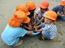 じゃがいもを洗う写真