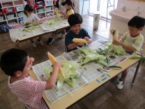 らいおん組さんがトウモロコシの皮むきをする写真