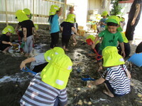 写真:子どもたちが園庭でどろんこをしているところ(5)