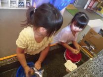 写真:じゃがいも洗い2