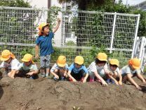 写真:じゃがいも掘り2