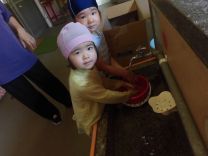 写真:イモ洗い3