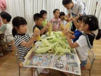 写真:とうもろこしの皮むき11