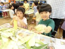 写真:とうもろこしの皮むき5